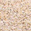 Coarse Sand. Golden Color. 1/8 Inch 2 lbs. for Potting Soil, Succulents, Pots, Plants, Gardening, Indoor, Crafting, Vase Fillers (X-Mini (0.125 Inch), COARSE Sand - Golden, 2)