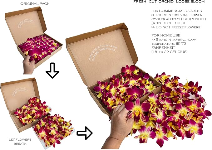 Miami Fresh Orchid Flower OrchidClub USA Sunne Tropical Loose Bloom DIY Lei Food Drink Decoration (50 YELLOW)