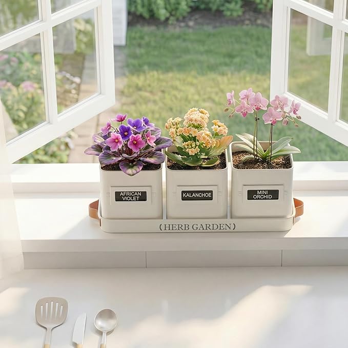 PERFNIQUE Indoor Herb Garden, Herb Planter Set with Tray, Farmhouse Indoor Plant Pots, Windowsill Herb Garden with Drainage(Planter only) for Indoor/Outdoor, Window Pots(White)
