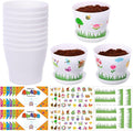 Domensi 12 Pack Garden Pot Craft Kit 4 Inch DIY Spring Crafts for Kids Bulk Plastic Flower Plant Pot Plastic Planter with Tray Drainage Holes with Tag, Certificate of Award, Sticker (White)