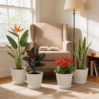 UOUZ 8 Inch Plant Pots, 4 Pack Plastic Planters for Indoor Outdoor with Drainage Holes & Saucers, Waffle Texture Flower Pots for Indoor Plants, Indoor Plant Pots for Monstera, Fiddle Leaf Fig, White