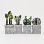 4Pcs Realistic Faux Cactus Set, Lifelike Resin Mini Cacti in Pots - No-Care Artificial Plants for Home Office Desk Decor, Shelf, Party - Durable, Easy Clean, for Plant Lovers