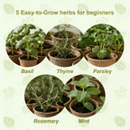 5 Herb Garden Kit with Wooden Box - Including Basil, Thyme, Parsley, Rosemary, Mint - Windowsill Herb Garden for Kitchen, Gardening Gifts for Mom Women, Men, Gift Ideas for Birthday, Housewarming