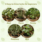 5 Herb Garden Kit with Wooden Box – Basil, Thyme, Parsley, Rosemary, Mint – Windowsill Herb Garden for Kitchen – Mother’s Day Gift for Mom, Gardening Gift for Women – Birthday Housewarming