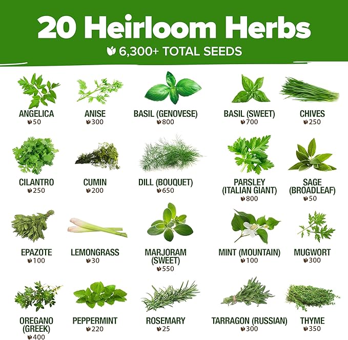 HOME GROWN Premium Herb Seeds Variety Pack - 20 Heirloom Herb Seeds for Planting - 6,000+ Non-GMO Seeds with Plant Markers - Indoor Outdoor Hydroponic Herb Garden - Culinary & Medicinal Herbs