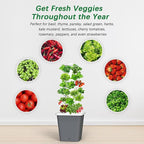 Hydroponics Growing System, 30-Plant Indoor Hydroponic Tower with Timer and Pump System, Plants Germination Kit, Vertical Hydroponic System for Gardening Lover (No Seed)