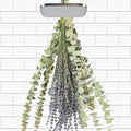 65 PCS Dried Eucalyptus Stems & Lavender Flowers Bundle for Shower, 17'' Natural Real Live Eucalyptus Leaves Greenery Hanging Lavender Shower Plant for SPA Home Fragrance Bathroom Wall Decor