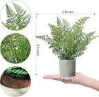 2 Pack Small Fake Plants Potted Artificial Plants Indoor for Home Decor Office Room Farmhouse Indoor Table Bathroom Decor