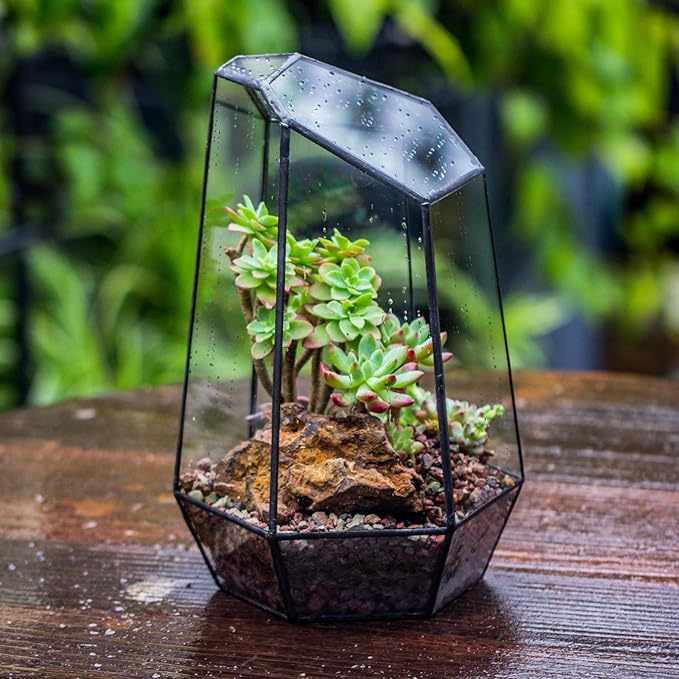 NCYP No Door Geometric Glass Terrarium Planter for Small Succulent, Small Cacti, Black Irregular Opened Terrarium Pot, Indoor Home Garden Office Tabletop Decor, 6.5" x 5.7" x 9.8" (No Plants)