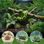 RAINFLOW 2PCS Reptile Plants for Terrarium - Fake Hanging Terrarium Plants, Artificial Boston Fern for Bearded Dragon Snake Geckos Hermit Crab Lizard Chameleon Turtle Reptile Decor(L30 xW5.1)