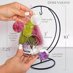 Creations by Nathalie DIY 7" DIY Teardrop Terrarium Kit - Build Your Own Glass Terrarium for Adults & Teens with Moss, Crystals, Tools & Decor - Handcrafted in the USA (Live Plant Included)
