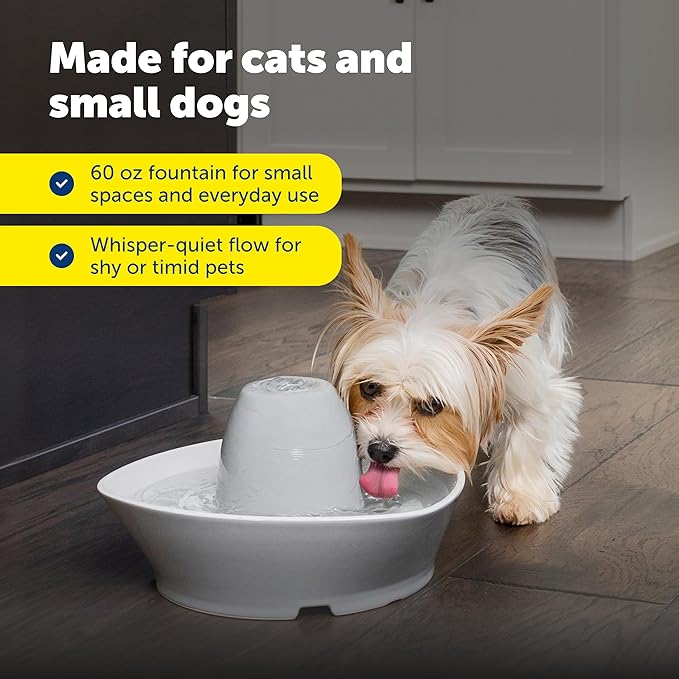 PetSafe Ceramic Pet Fountain for Cats and Small Dogs 60 Oz Water Capacity Whisper-Quiet Water Flow Great for Shy or Timid Pets Fresh, Filtered Water - Extra Carbon and Foam Filters Included