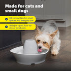 PetSafe Ceramic Pet Fountain for Cats and Small Dogs 60 Oz Water Capacity Whisper-Quiet Water Flow Great for Shy or Timid Pets Fresh, Filtered Water - Extra Carbon and Foam Filters Included
