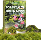 ZeeDix 8 oz Forest Moss for Plants Indoor - Dried Orchid Moss for Repotting, Natural Green Sphagnum Moss for Potted Plants Carnivorous Monstera Succulents Crafts Reptile Habitat (Expands to 12 qt)