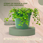 Live Plant String of Frogs 4" - Live Trailing Succulent Fully Rooted in Pot with Soil Mix - Rare House Plant for Home Office Wedding Hanging Decoration, DIY Projects, Party Favor(Heat Pack Included)