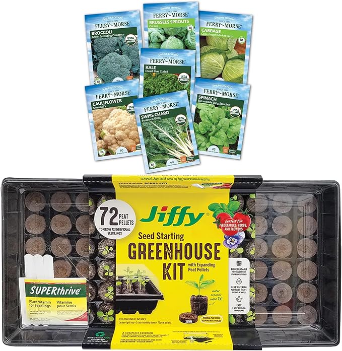 Jiffy Plant Germination Kit - Greenhouse Starter Kit, Lightweight, GMO Free - 72 Cell, 2 Pack - Peat/Plastic