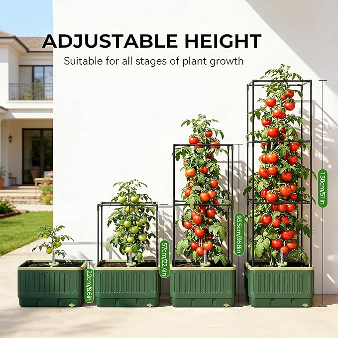 MQUPIN Raised Garden Bed Tomato Planter with Trellis, Self Watering Tomato Planter with Water Level Indicator, Larger Rectangular Tomato Cages for Indoor & Outdoor Climbing Vegetable and Plants (1)