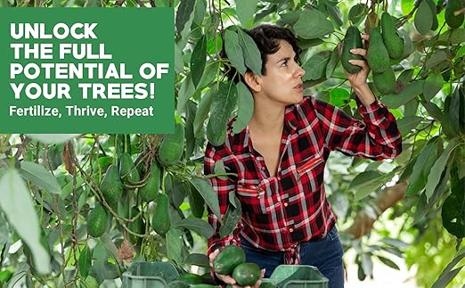 Gardenwise 6-4-6 Avocado, Mango Citrus Tree Professional Fertilizer, Plant Food Outdoor/Indoor Gardening; Quick-Release Nitrogen Fertilizer; Orange, Lime, Avocado and Lemon Tree Fertilizer (1/2 QUART)