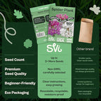 SVI 1600 Spider Plant Seeds (Cleome hassleriana) – Cleome, Spider Pink Flower Seed Packets Bulk, Wildflower Seed – Heat Tolerant Wild Flowers, Annual Cut Flower Seeds for Outdoor Garden, Flowers Beds
