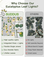suddus Vines with Lights Plug in, 33ft 100 LED Eucalyptus Garland String Light Connectable with Remote, Leaf Lights for Bedroom, Room, Wall, Garden, Party, Wedding Dorm Decor (Warm White)