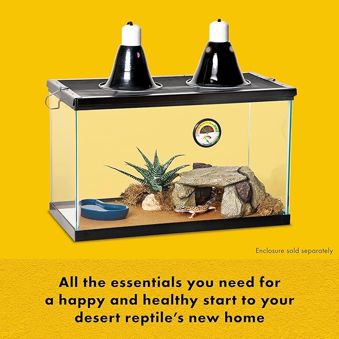 Zilla Desert Habitat Accessory Kit, Starter Kit for Reptiles, Easy Start for Desert-Dwelling Reptiles, Includes Lighting, Bedding and Food, Ideal for Size 10G Terrariums