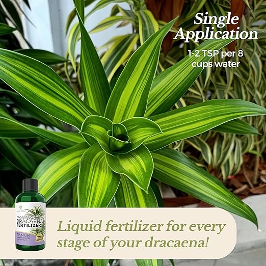 Professional Dracaena Plant Fertilizer Liquid 3-1-2 Concentrate 8 oz, Premium Dracena Liquid Plant Food for Indoor Plants, Liquid Dracaena Plant Fertilizer Made in USA