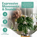 PLANTPETZ Large Robotic Planter – Smart Planter Fits 4 Inch Pots | Bluetooth Speaker | Interactive Smart Plant Pot Turns A Real Plant Into a Touch/Motion Responsive Companion - Sequoia Woodgrain