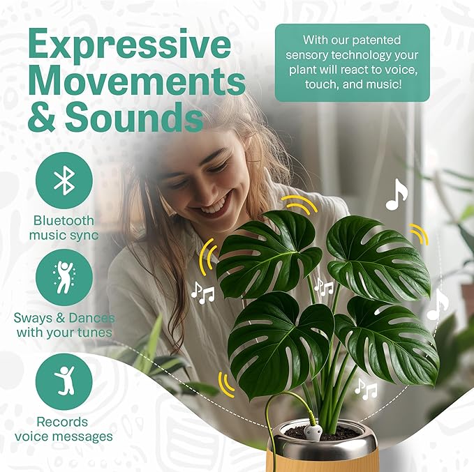 PLANTPETZ Large Robotic Planter – Smart Planter Fits 4 Inch Pots | Bluetooth Speaker | Interactive Smart Plant Pot Turns A Real Plant Into a Touch/Motion Responsive Companion - Sequoia Woodgrain
