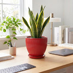 Ceramic Flower Pots 8 Inch, Ceramic Planters for Indoor House Plants, Decorative Plant Pots with Drainage Hole and Saucer, Modern Round Planter, Office Decor, Gifts for Men Women, Red