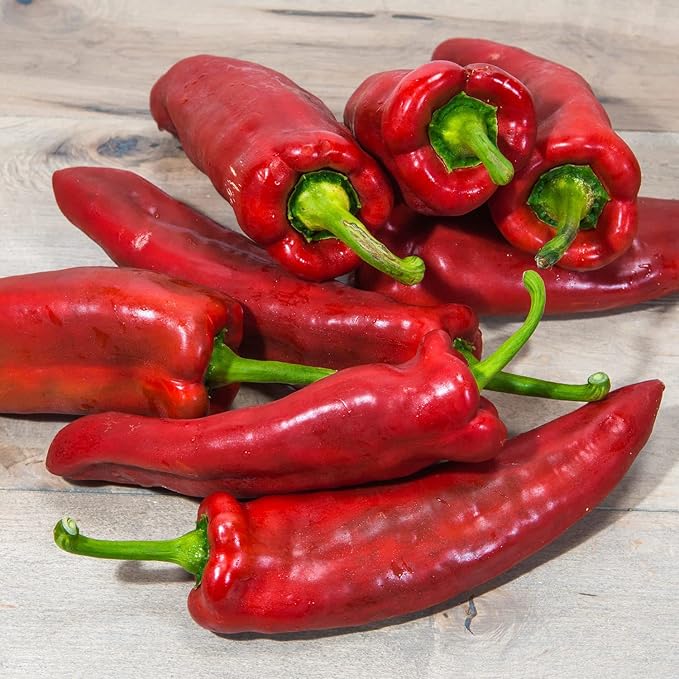 Bonnie Plants Giant Marconi Pepper, 19.3 oz., 4-Pack, Live Plants
