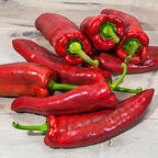 Bonnie Plants Giant Marconi Pepper, 19.3 oz., 4-Pack, Live Plants
