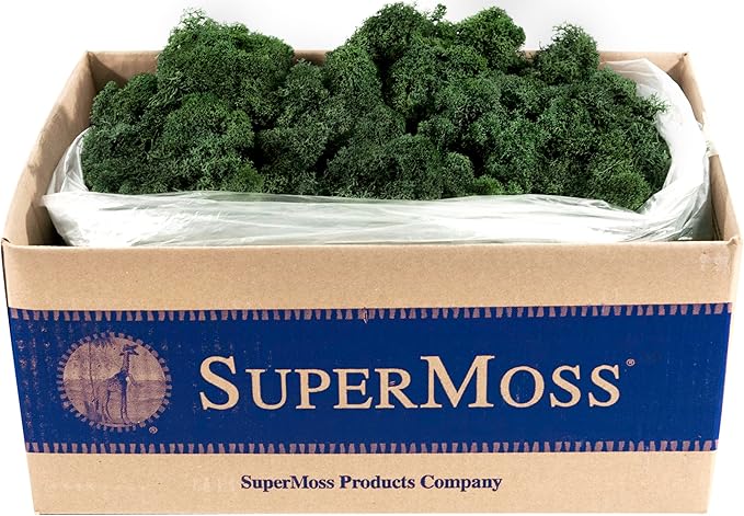 Super Moss (21710) Reindeer Moss Preserved, Forest Green, 3lbs