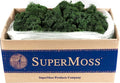 Super Moss (21710) Reindeer Moss Preserved, Forest Green, 3lbs