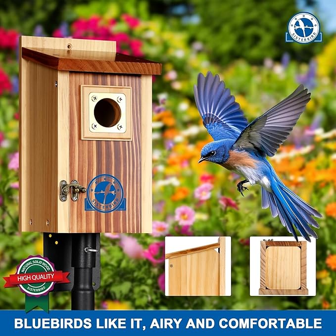 SISTERBIRD Premium Bluebird Houses for Outside, Bird Houses for Outside Suitable for Garden Decoration, Wooden Bird House, Blue Bird Houses for Outdoors Gift, Assembly Required