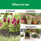 Miracle-Gro Shake 'N Feed All Purpose Plant Food - Outdoor and Indoor Plant Food for In-Ground and Containers, Feeds for up to 3 Months, 1 lb.