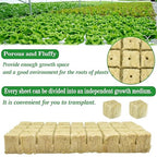 Halatool 1.2 Inch Rockwool Cubes Garden Hydroponic Pods Starter Plugs for Hydroponics Soilless Cultivation Seedling Starting Cuttings Clone & Plants Propagation (2 Sheets, 72 Plugs in Total)