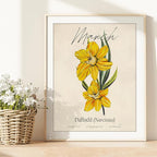 March Birth Flower Art Print - 8x10 (Unframed) | Capturing the Splendor of the March Birth Flower | Decor Accent for Birthdays and Special Occasions | Living Room Decor | Modern Home Decor