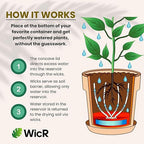 Self-Watering Planter Insert for Houseplants, Flower Pots and Hanging Baskets – Bottom Watering Reservoir with Wicking System – Prevents Over & Under Watering and Root Rot – Indoor/Outdoor – USA Made