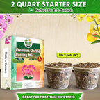 [Upgraded] DUSPRO Orchid Potting Mix for Repotting with Forest Moss, Pine Bark, Perlite & Pumice Natural Ingredients, Orchid Bark Potting Mix, Orchid Repotting Kit Drainage Indoor Potting Medium 2QT