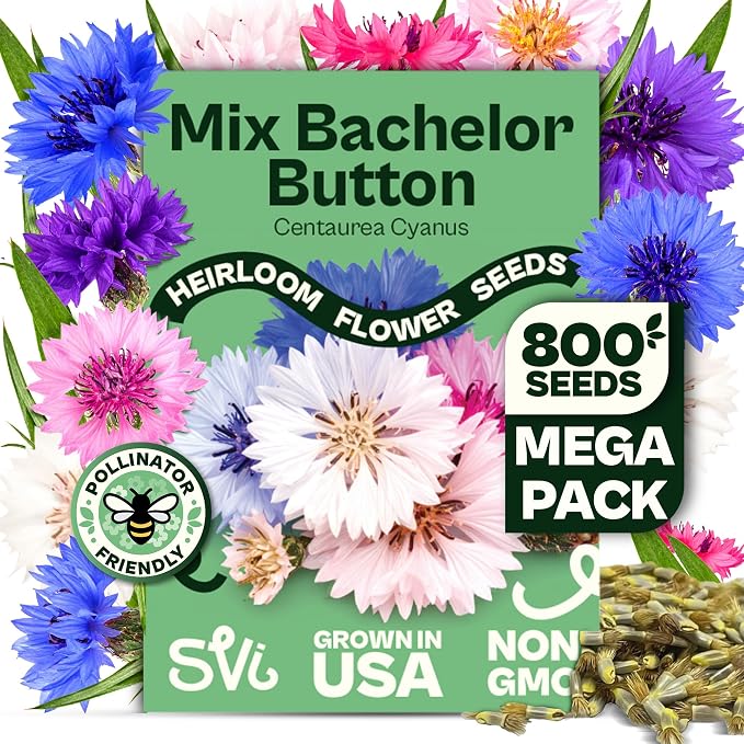 SVI 800 Bachelor Button Seeds for Planting (Centaurea cyanus) – Cornflower, Wildflower Mix Seed Packets – Heirloom Flower Seeds to Plant Outside in Garden, Borders, and Containers