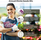 Zinnia Seeds Mix, 1 Oz, Over 3,000 Flowers Seeds, 5 Varieties (Pink, Yellow, Orange, White, Purple), Mixed Colors and Large Blooms,Open Pollinated - Bulk