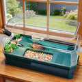 Turtle Tank Kit with 3-Stage Filter, Basking Platform & Heat Lamp - Complete Turtle Aquarium Habitat for Water Turtles, Enclosure or Hermit Crab Tank, Easy Drain Starter Kit Green, 18.1 Inch