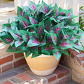 Artificial Plants Faux Greenery for Outdoor Outside UV Resistant, Fake Silk Realistic Coleus Bushes Shrubs for Porch Planters Front Door Patio Pots Spring Summer Decor, 12 Bundles
