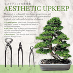 BambooMN Bonsai 3 Piece Trunk and Root Set - 30 Sets