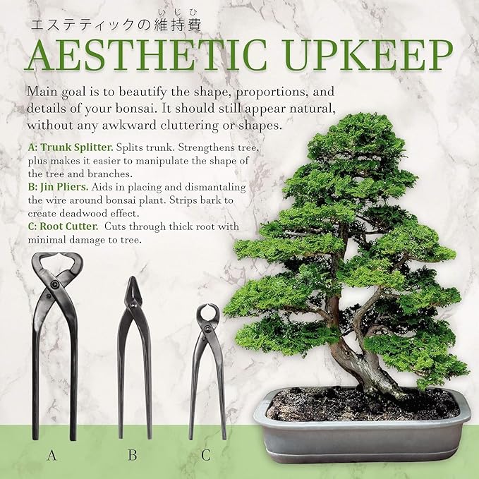 BambooMN Bonsai 3 Piece Trunk and Root Set - 10 Sets
