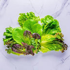 Aerogarden Salad Greens Seed pod Kit with Red and Green Leaf, Romaine and Butter Head Lettuce, Liquid Plant Food and Growing Guide, 6-Pod