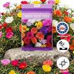 15000+ Portulaca Grandiflora Moss Rose Seeds Mixed Color Spreading for Planting Mexican Sun Rose Rock ROS Heat & Drought Tolerant Ground Cover Plant
