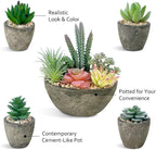 Succulents Plants Artificial Set of 5, Realistic Fake Succulents with Cement Like Pots for Home Office Decoration.