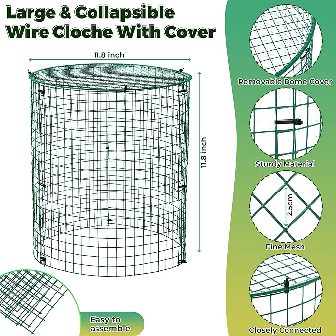6 Pack Garden Plant Protectors from Animals with Stakes, Metal Mesh and Detachable Covers Wire Plant Cage for Keeping Bunny Animals Out, Chicken Wire Cover Garden Protect (12 * 13 in)