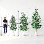 Bailikang 6FT Artificial Ficus Trees Indoor Faux Trees Indoor Fake Floor Plants Tall Artificial Tree with White Pot Faux Tree Fake Indoor Tree Silk Plants Artificial Trees for Home Decor Indoor